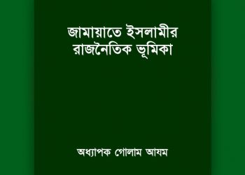 জামায়াতে ইসলামীর রাজনৈতিক ভূমিকা